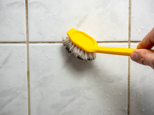 Best Attic Mold Removal  in Meeker, CO