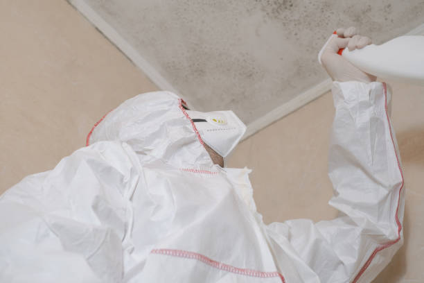 Best Crawl Space Mold Removal  in Meeker, CO